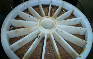 LY-200反滲透殺菌劑